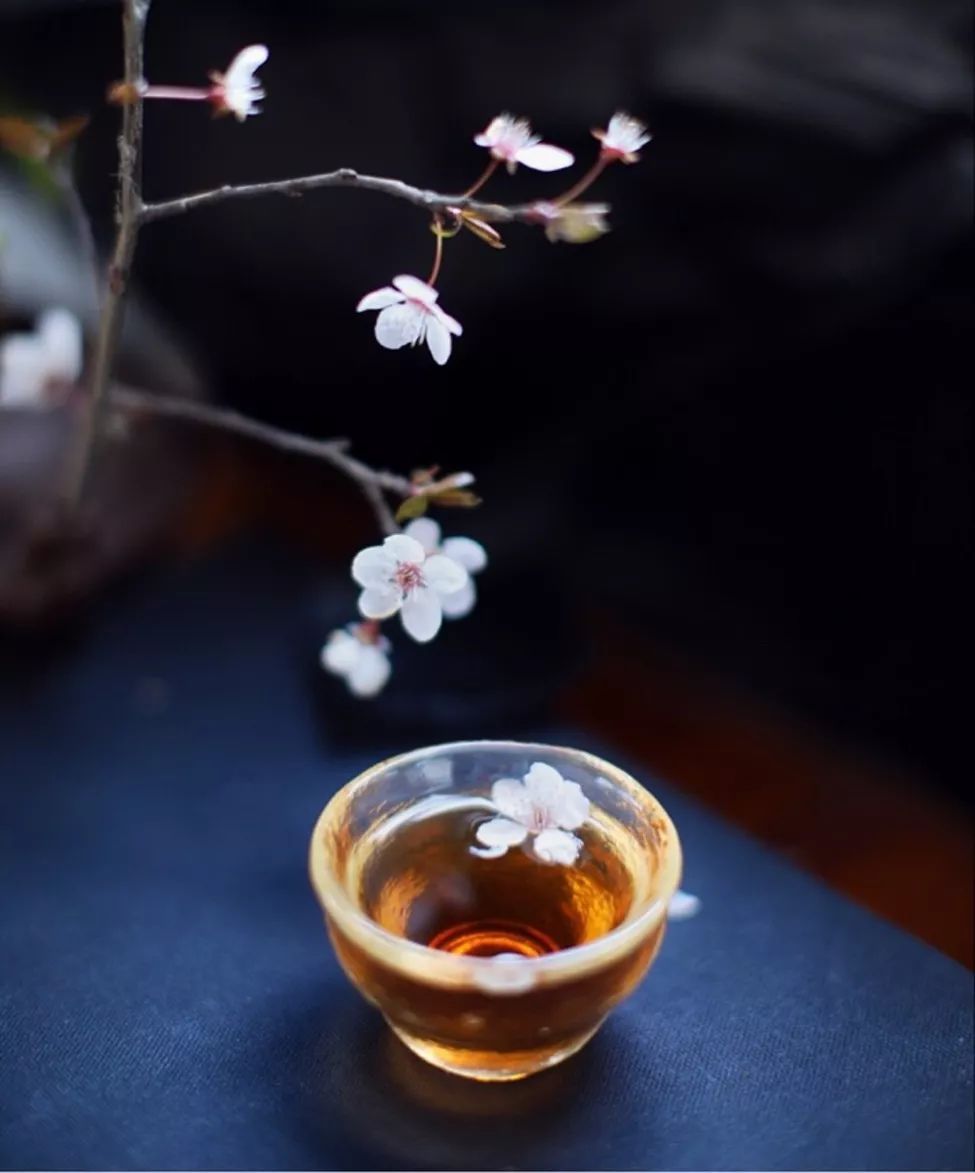 我们闻茶香闻的是什么? 茶